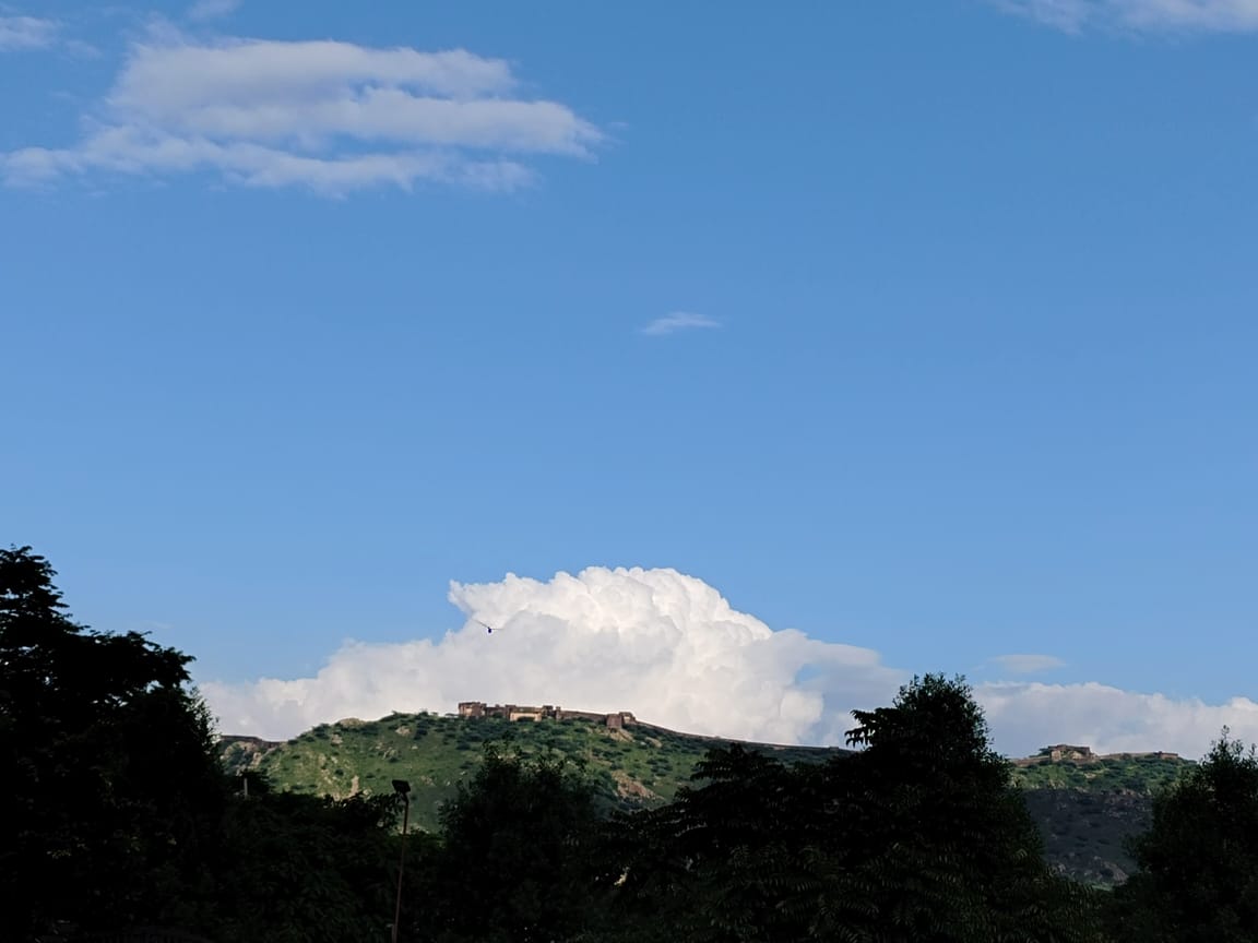 green nature defence homepage